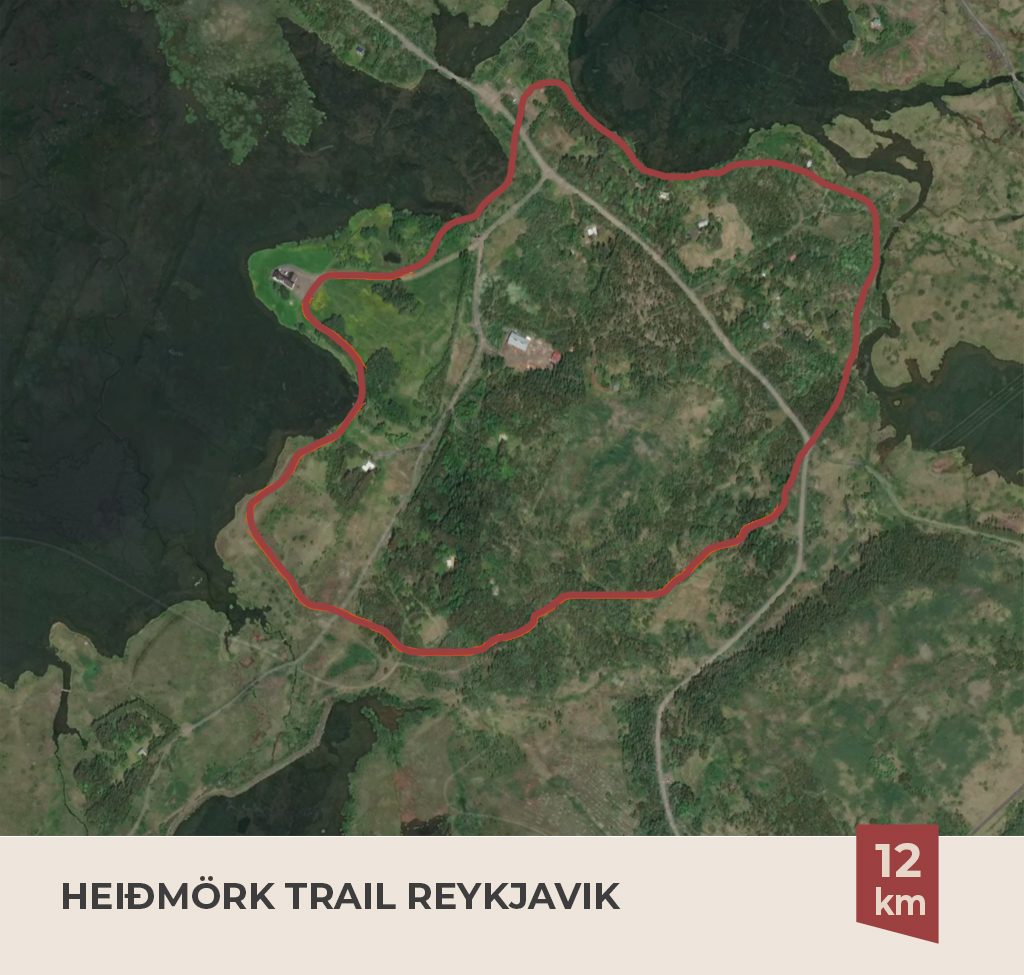Heiðmörk nature reserve trail near Reykjavík