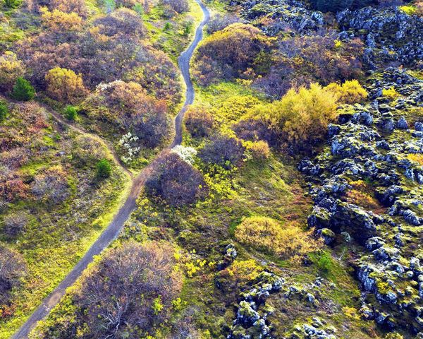 Aerial view of a trail through autumn birch and lava rock