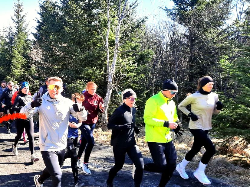 Runners on a forest trail in spring